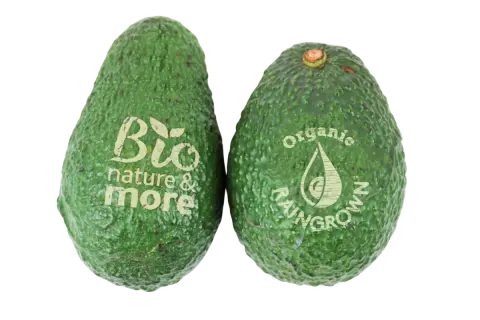 ORA