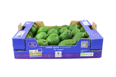 ORA Box